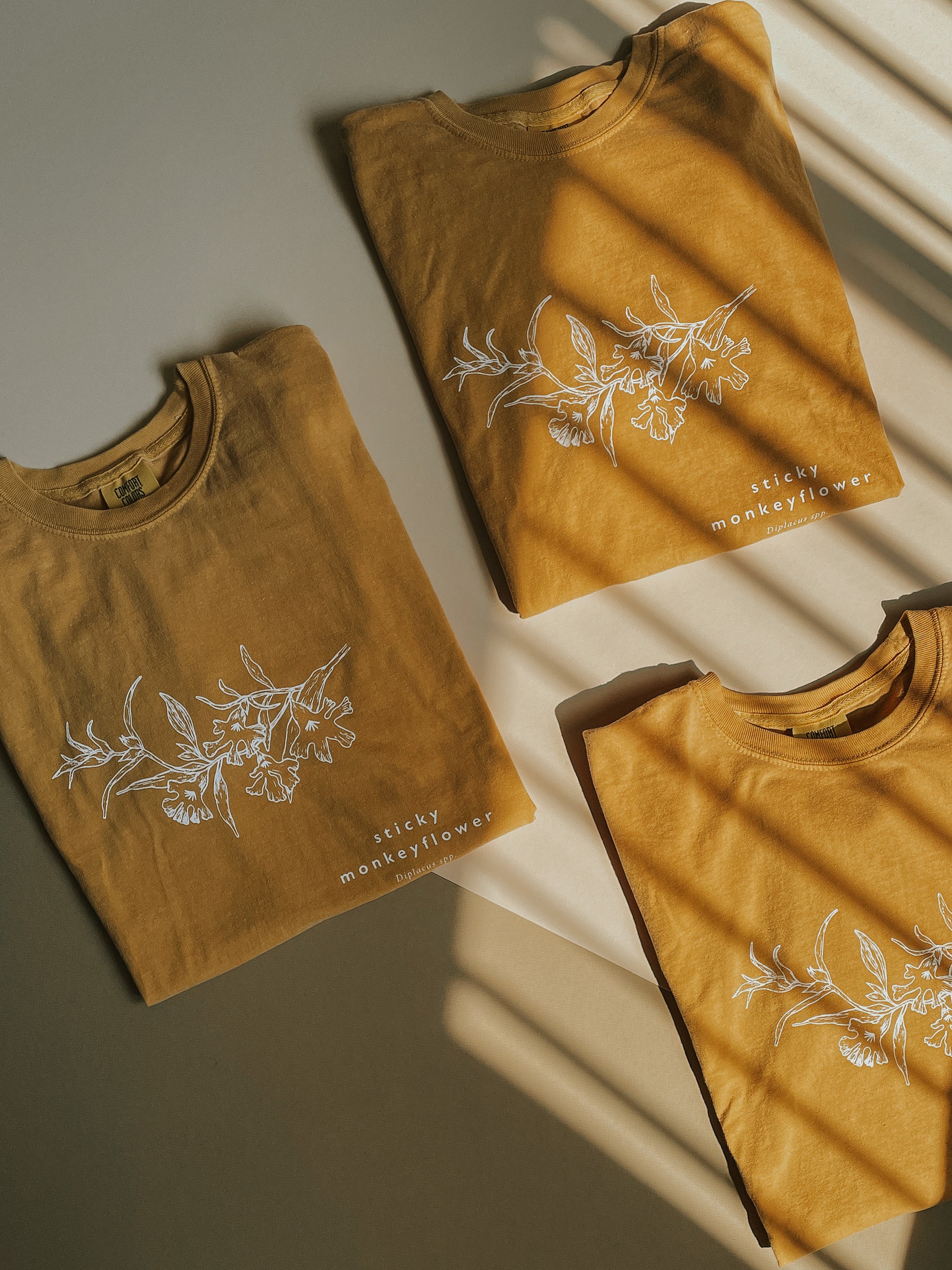 How to plant sticky monkeyflower in your garden