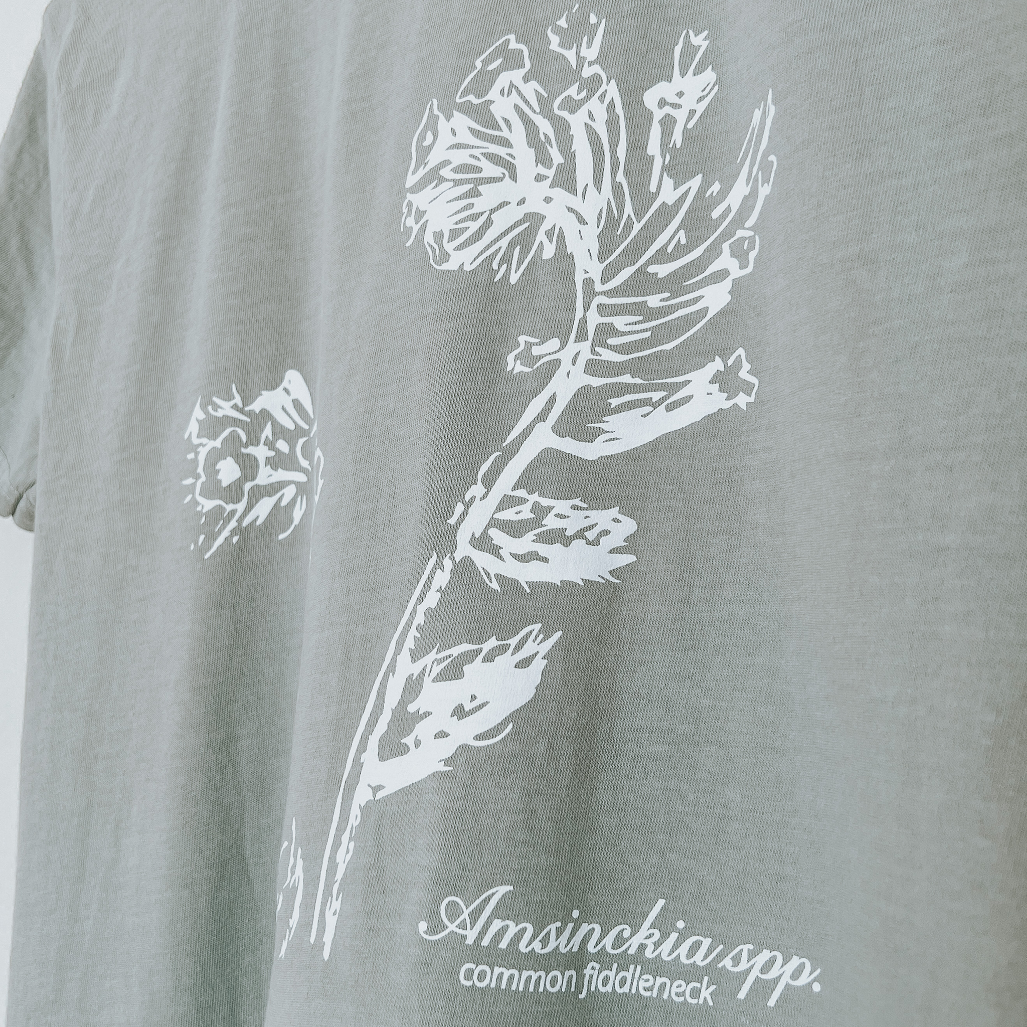 Fiddleneck Unisex T-shirt in Dusty Sage
