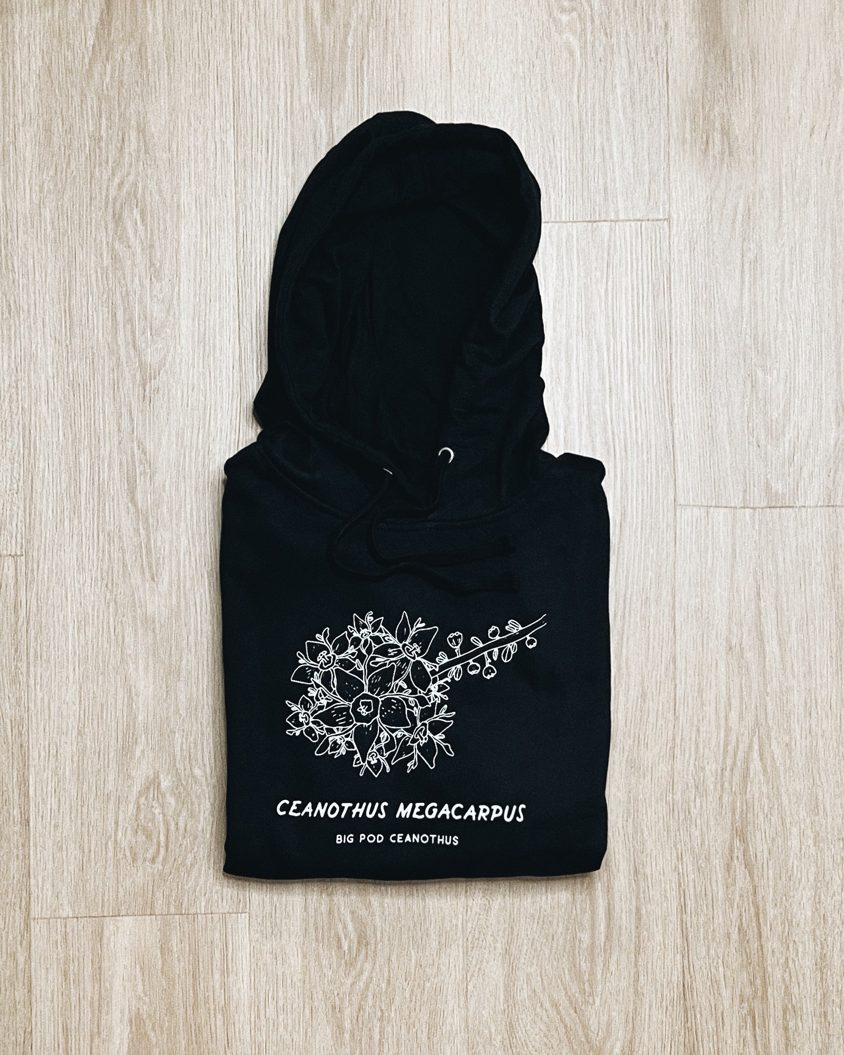 big pod ceanothus unisex hoodie sweater black
