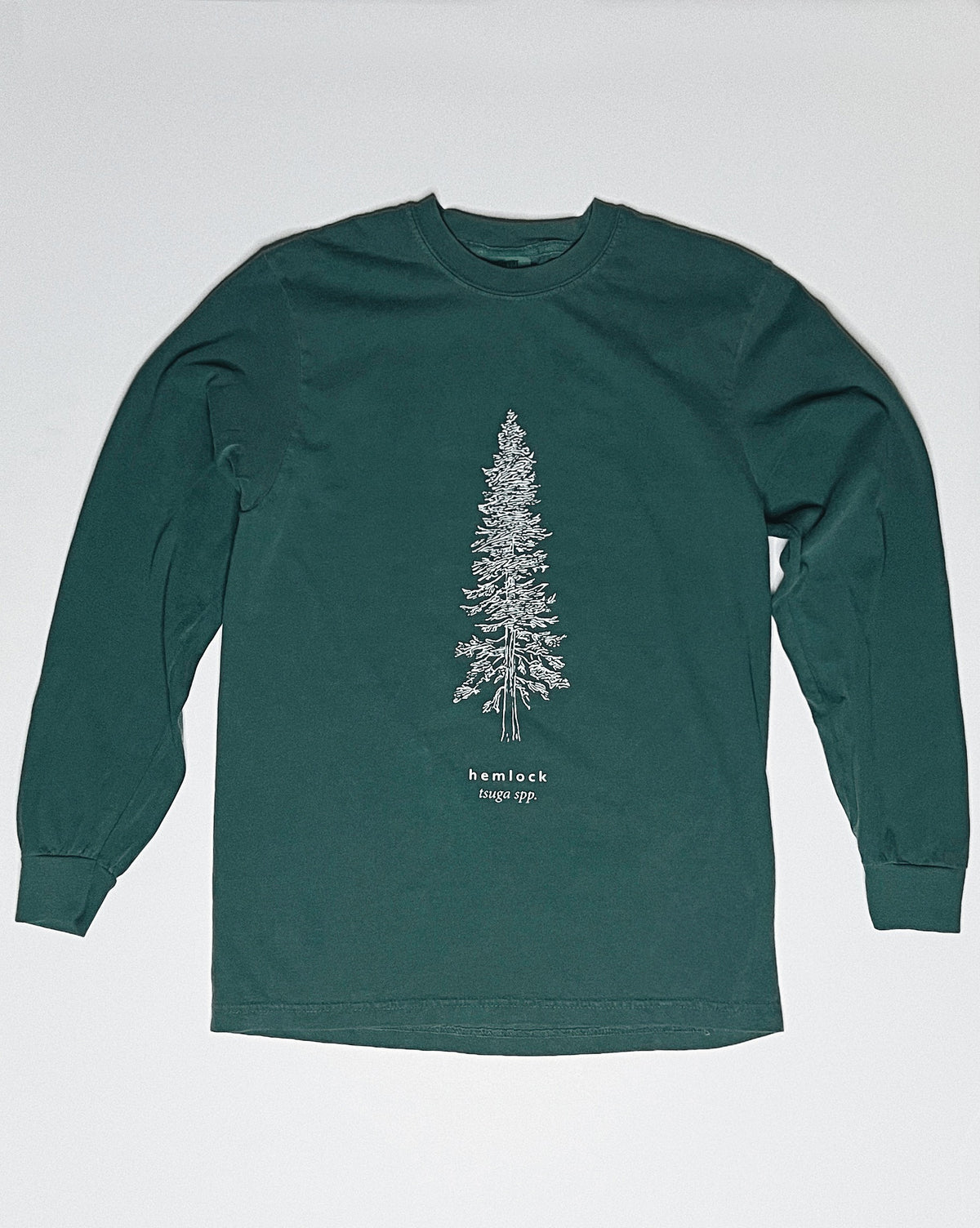 Hemlock Botanical Illustration Unisex Long Sleeve in Dusty Teal