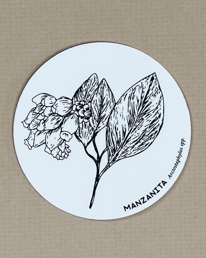 manzanita sticker